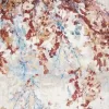 stevens omni,enigma 112i,area rug,floral