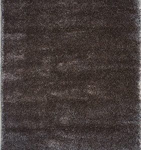 stevens omni,lotus pc00 brbr,area rug,shag