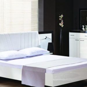 stevens omni,lotus area rug,shag
