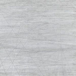 affinity 890 lichen