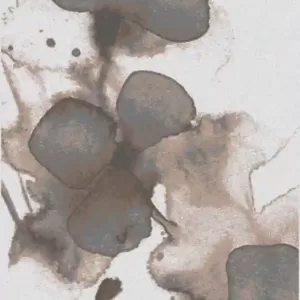 stevens omni,bradford 2061y,area rug,floral
