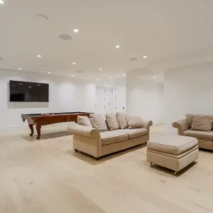 canvas collection aura