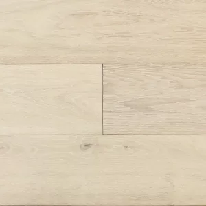 canvas collection aura