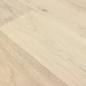 canvas collection aura