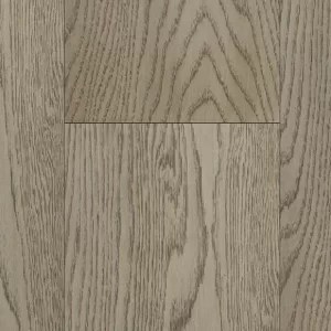San Marino Oak - Arctica