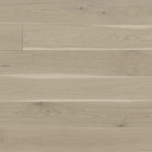 Costa Collection - Leone