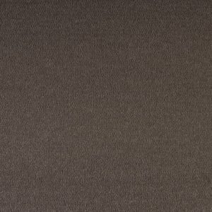 triumph charcoal