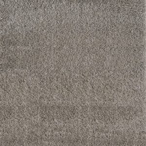 plain shaggy 01800a beige