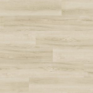kenko collection clic cork ashland (copy)